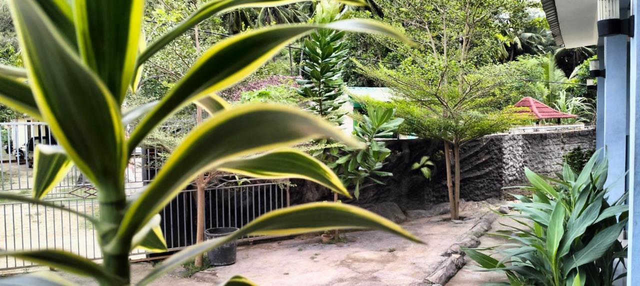 Sakila Homestay Kuta  外观 照片