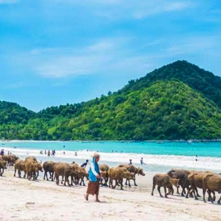 Sakila Homestay Kuta  外观 照片
